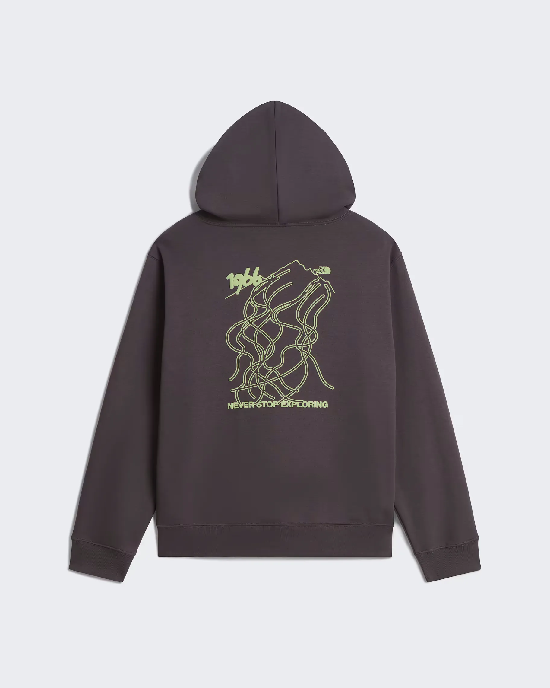 THE NORTH FACE - U NSE SLOPES RELAXED HOODIE - GRAPHIC ANTHRACITE GREY