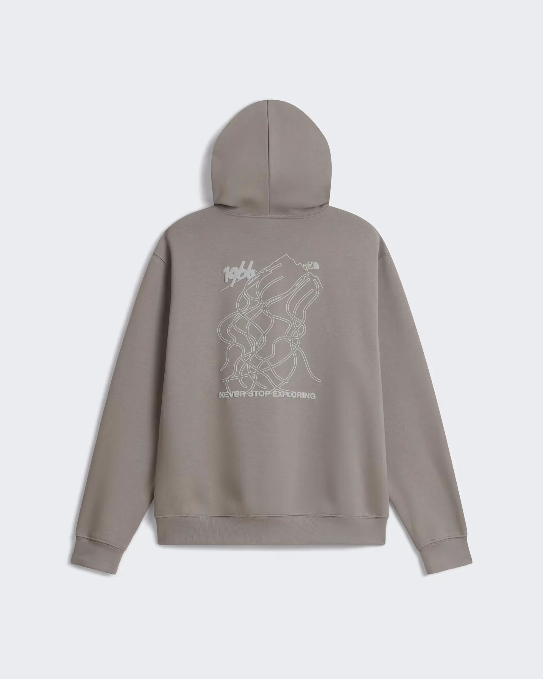 THE NORTH FACE - U NSE SLOPES RELAXED HOODIE - GRAPHIC Stone Slab